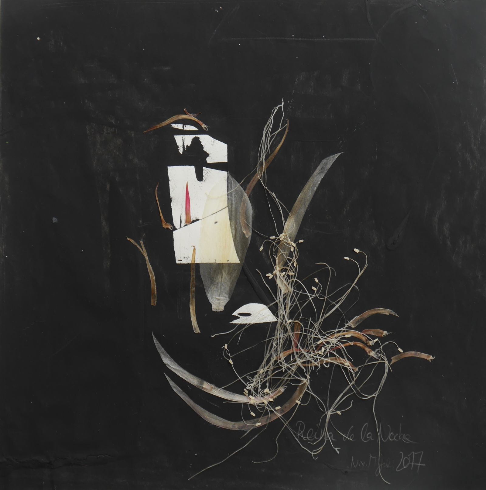 Reina-de-la-Noche Papier Collage40x40cm2017